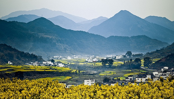 赣鄱温情，江西日常画卷